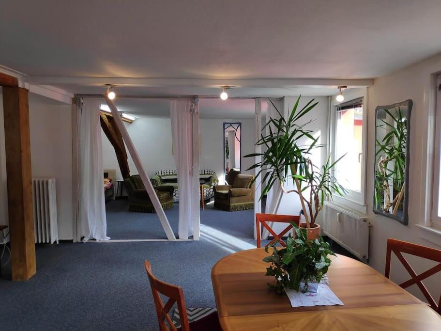 Grosse 130 M2 Gemuetliche Wohnung Im Herzen Tribergs Triberg im Schwarzwald Exterior foto