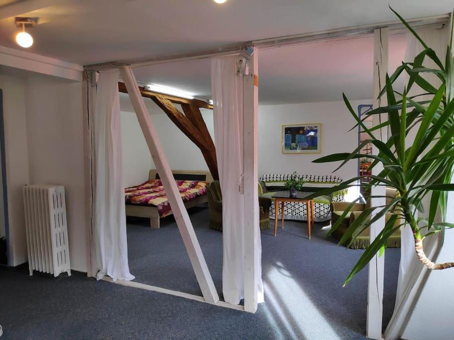 Grosse 130 M2 Gemuetliche Wohnung Im Herzen Tribergs Triberg im Schwarzwald Exterior foto
